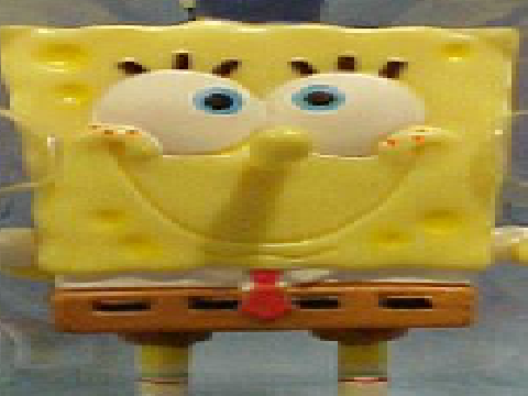 Spongeboy is a derpyhead (RESHARE)