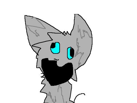 Crazy cat