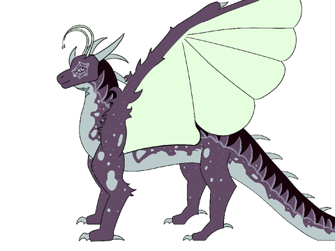 WOF Hybrids Art Collab Silk/Night