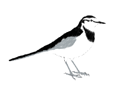 イラスト【１】