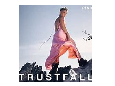 P!NK-TRUSTFALL