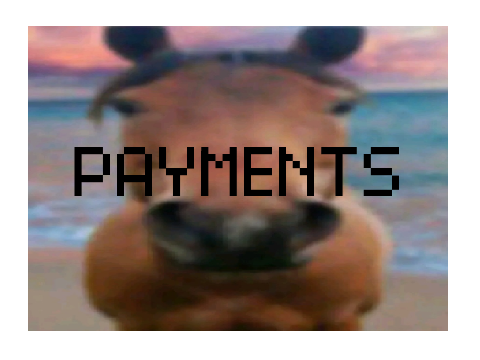 PAYMENTS