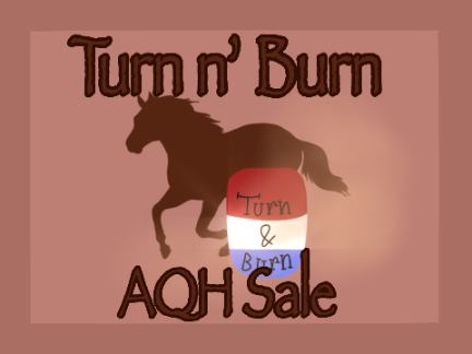 Turn n’ Burn || AQH Sale [SOLD OUT]