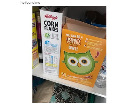 Duolingo Memes I Wanted To Share