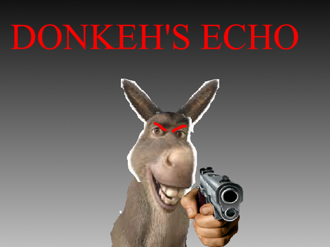 donkeh's ECHO | derp