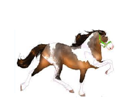 horses for Cottagecore_Rose and Westesrn_Rider 