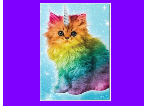 cat on the moon 