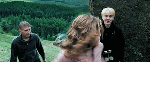 Hermione's best moment 