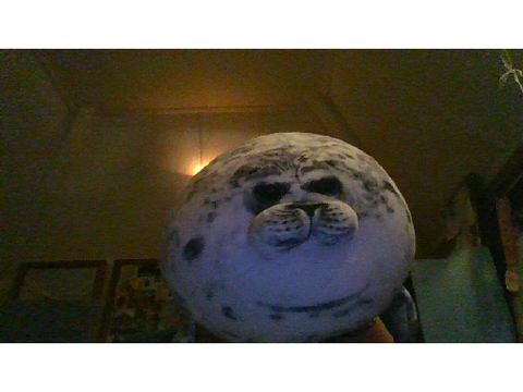 SEAL!