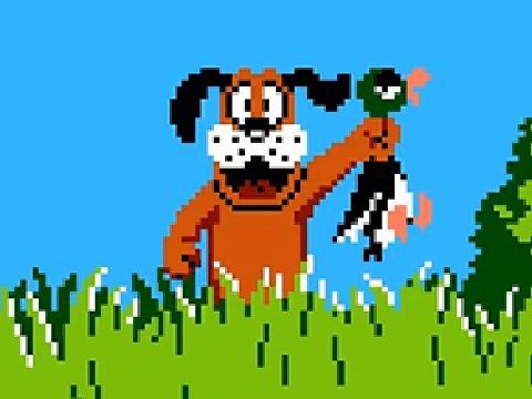 ✨ Duck Hunt ✨