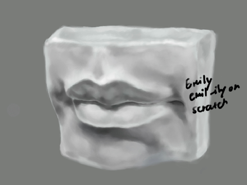 some lip studies 