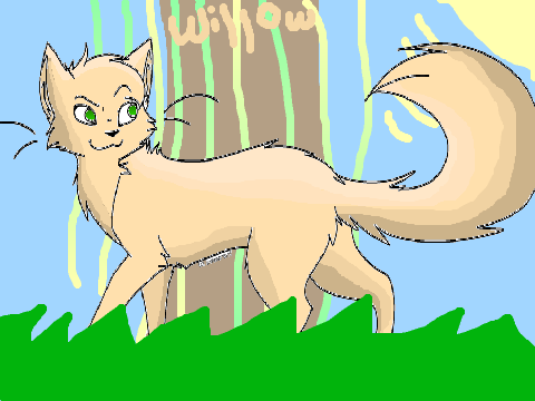 Heart Attack - Warrior Cat CCE