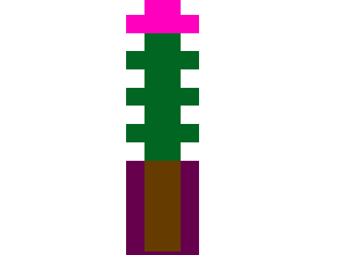 Cactus With Flower On Top