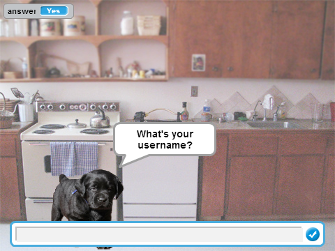 Dog Questions