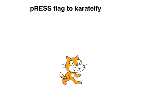 Karate Kingz 
