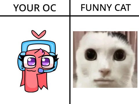 Give me your oc and I will turn it to a funny cat remix