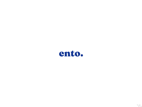 entry for entochicky