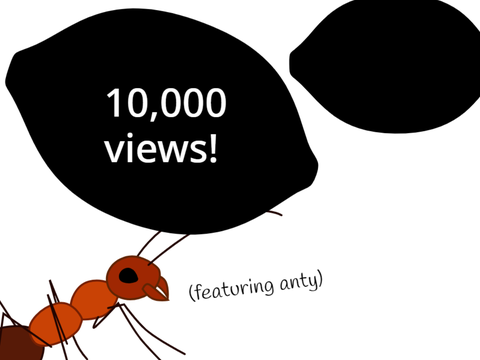 10k views!?