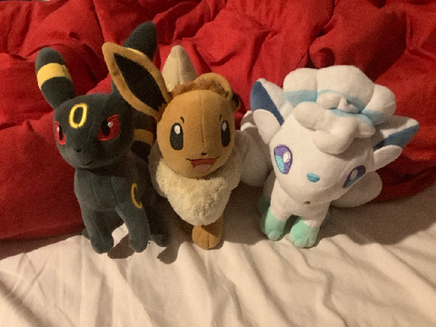 proof i like pokémon