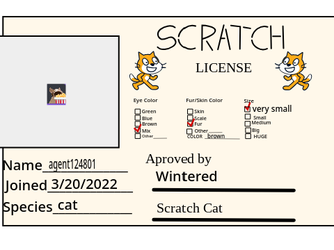 Make Your Own Scratch License 