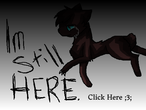 I'm still here.