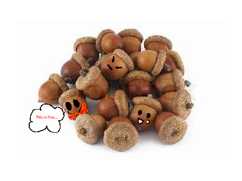 Add yourself as a cute Acorn! remix remix