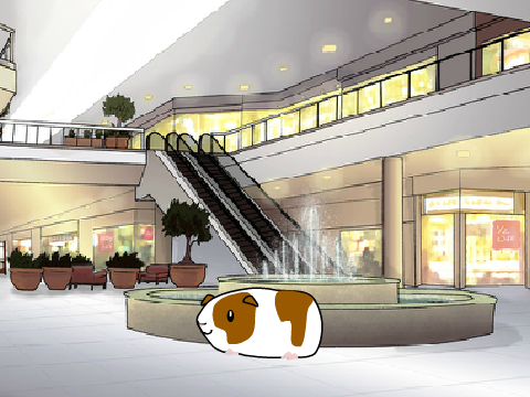 Guinea Pig Shopping