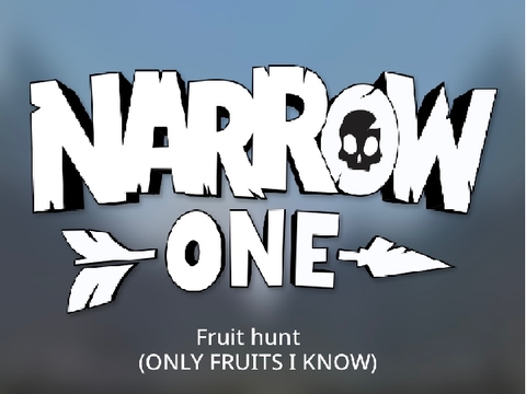 NARROW ONE