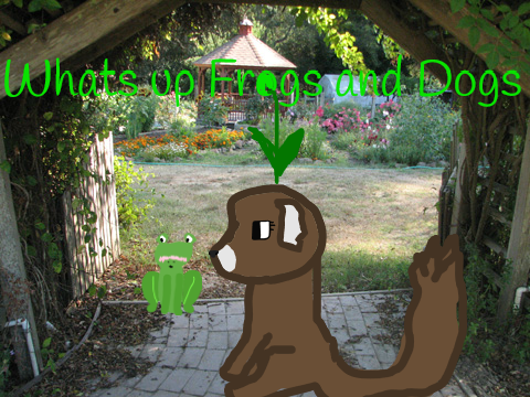 Ello Frogs and Dogs
