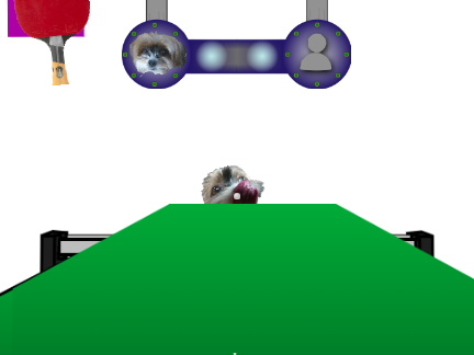 Table Tennis With Panda