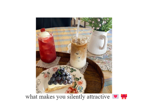 ⋆ ˚ what makes you silently attractive❕୧