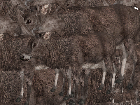 ELK