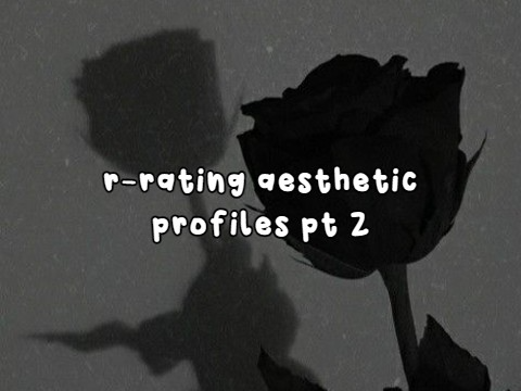 013┊r-rating aesthetic profiles pt 2