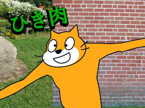ひき肉です！