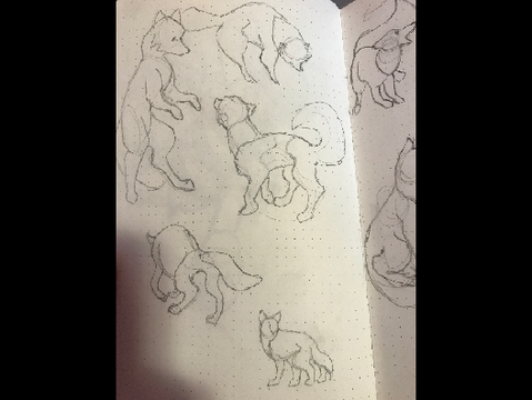 Random - #14