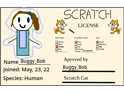 Make Your Own Scratch License  remix