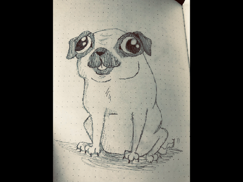 Random - #15
