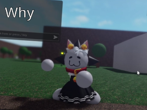 why did i do this