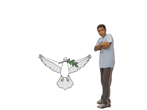 Human Adopts Dove