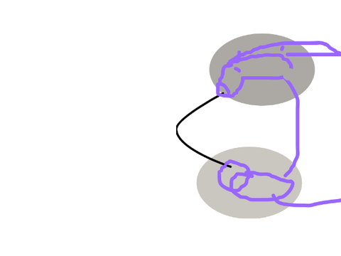 animation test