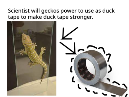What duck tape will be like in the future