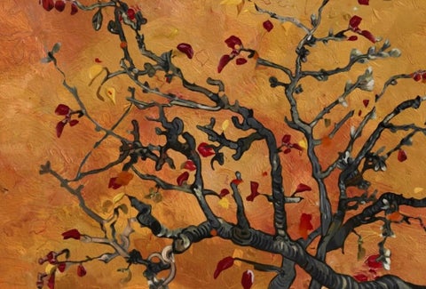 this is what autumn feels like