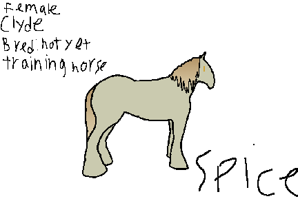 Spice