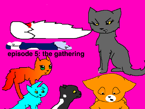 Thunderclan's life part 5: the gathering