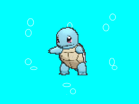 Squirtle Quiz