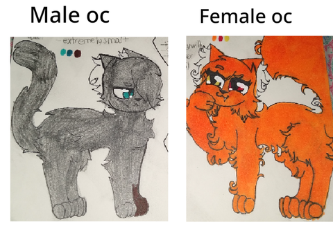 Make them anime please 
