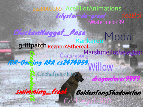 Sign if you are Against Animal Cruelty!! remix remix remix remix remix remix