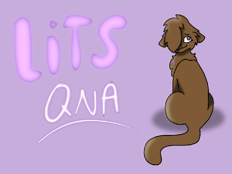 LiTS QnA!!