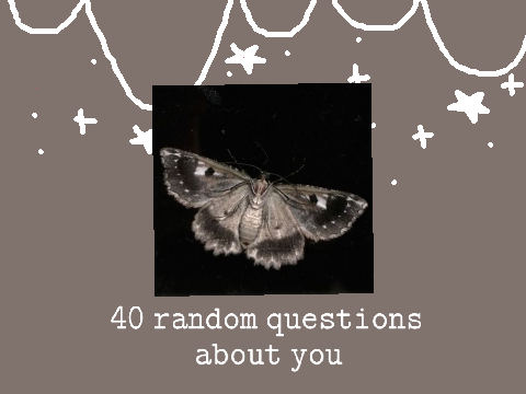 40 questions about me 