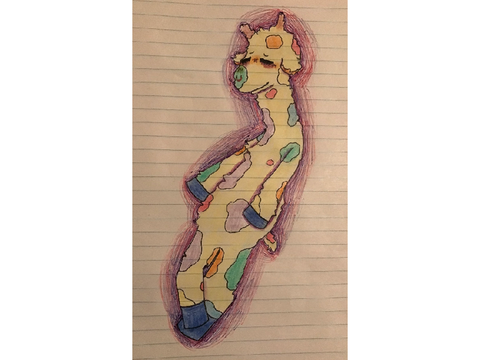 When in doubt, draw a rainbow giraffe 